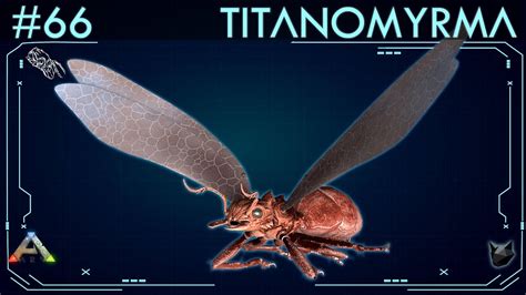 Titanomyrma .